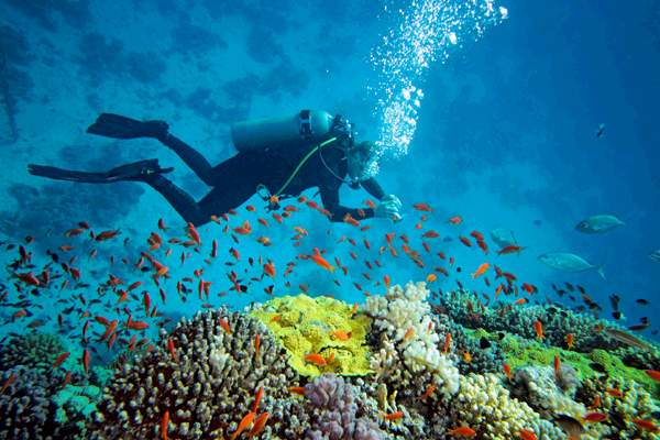 Scuba Diving in Havelock Island, Andaman