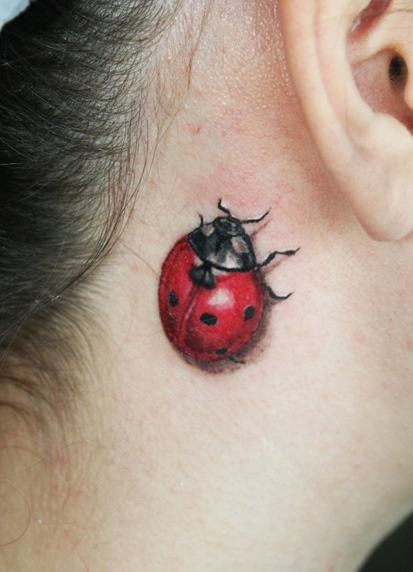 Coccinella