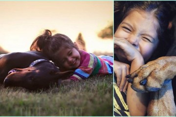 Cutie Siena and Doberman