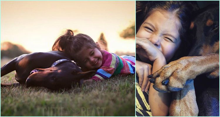 Cutie Siena and Doberman