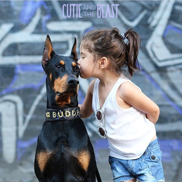 Cutie and the Beast 24