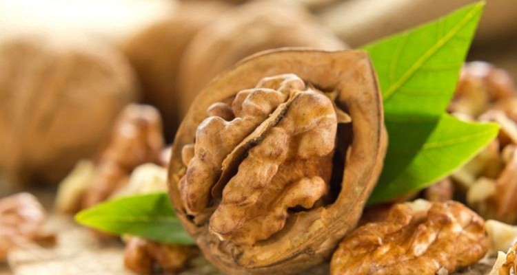 Eat 5 Walnuts daily