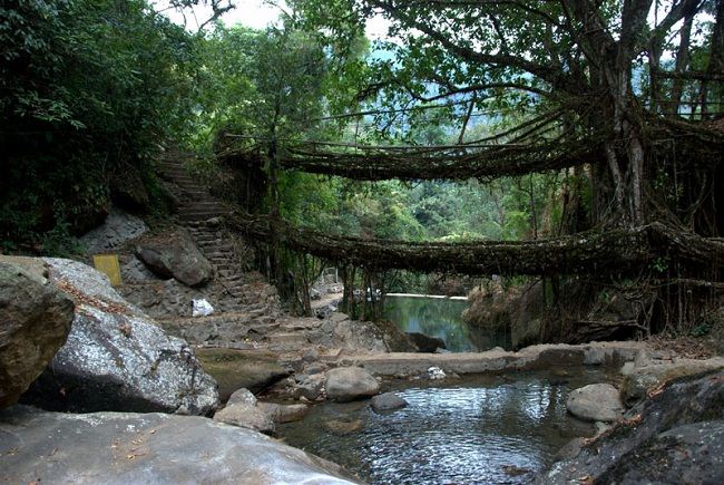 Meghalaya