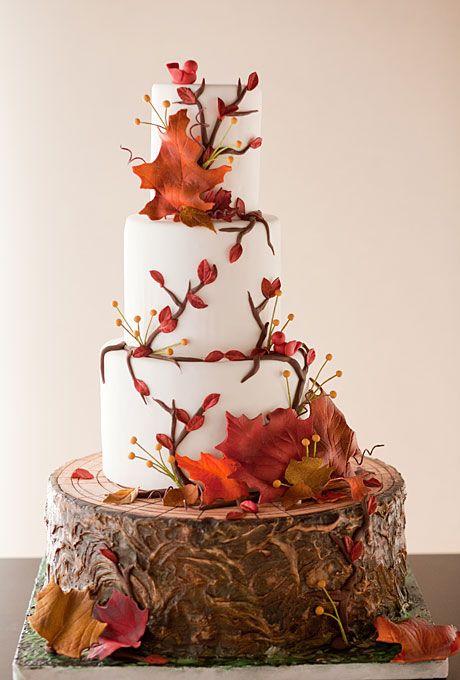 Rustic fall inspired wedding cake