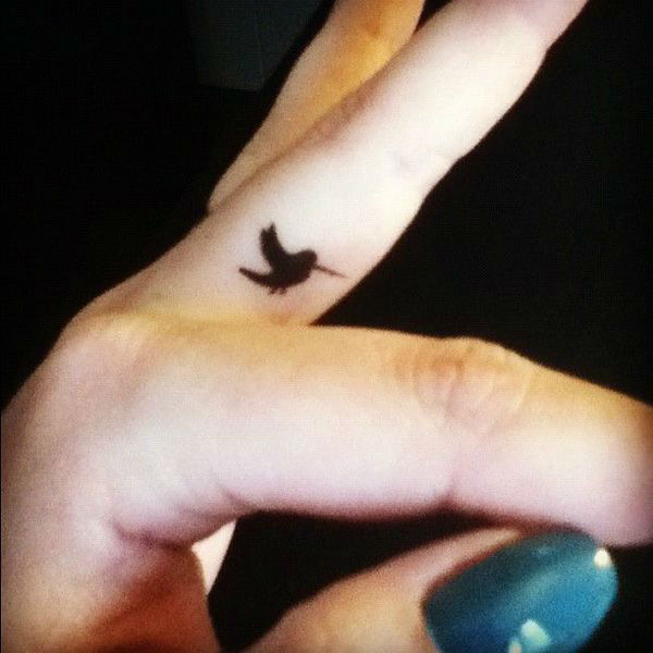 The hummingbird reminding to live life to the fullest