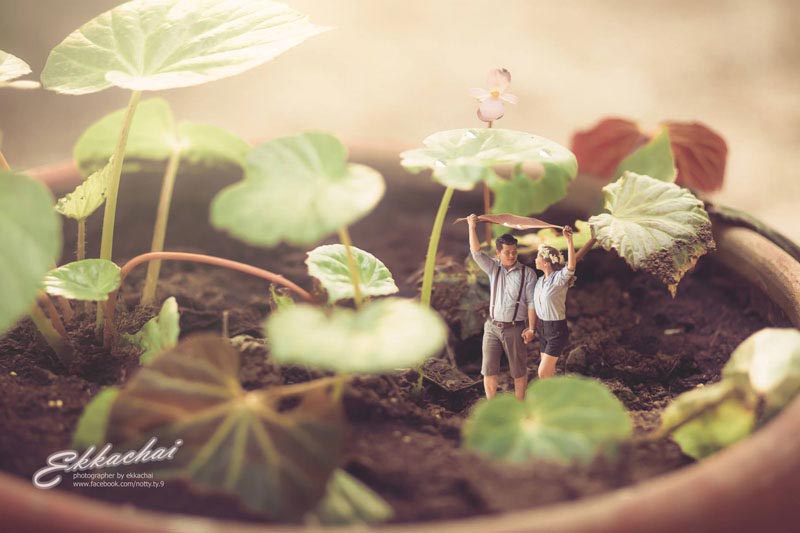 miniature-wedding-photography-ekkachai-saelow-15