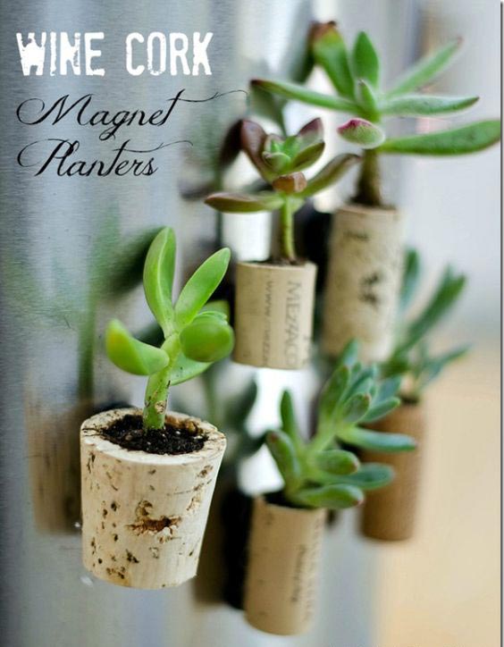 magnetic planters