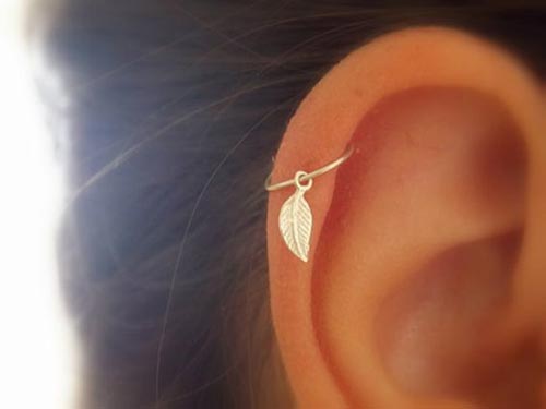 delicate leaf for helix