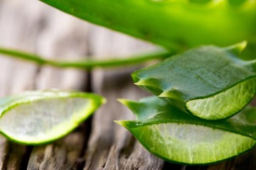 Aloe vera for skin and hair