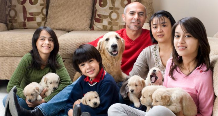 5 Reasons Why Having a Pet in Your House Changes Your Life