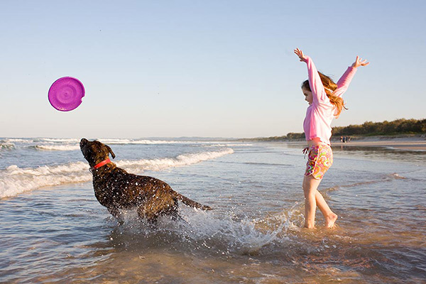 Frisbee game