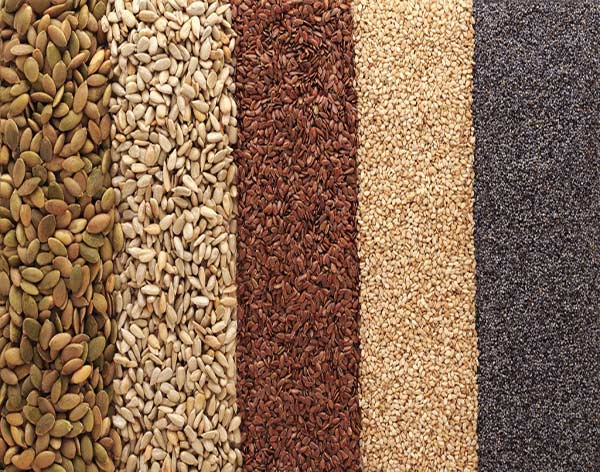 Seeds healthy snacks