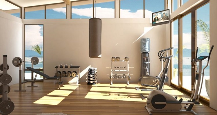 home-gym-designs-idea