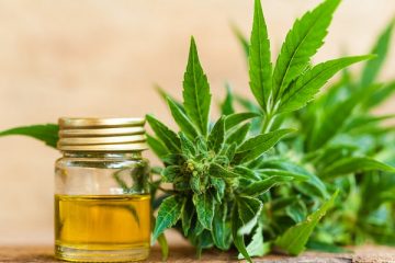 CBD And Weight Loss How Does It Help Your Fitness Goals