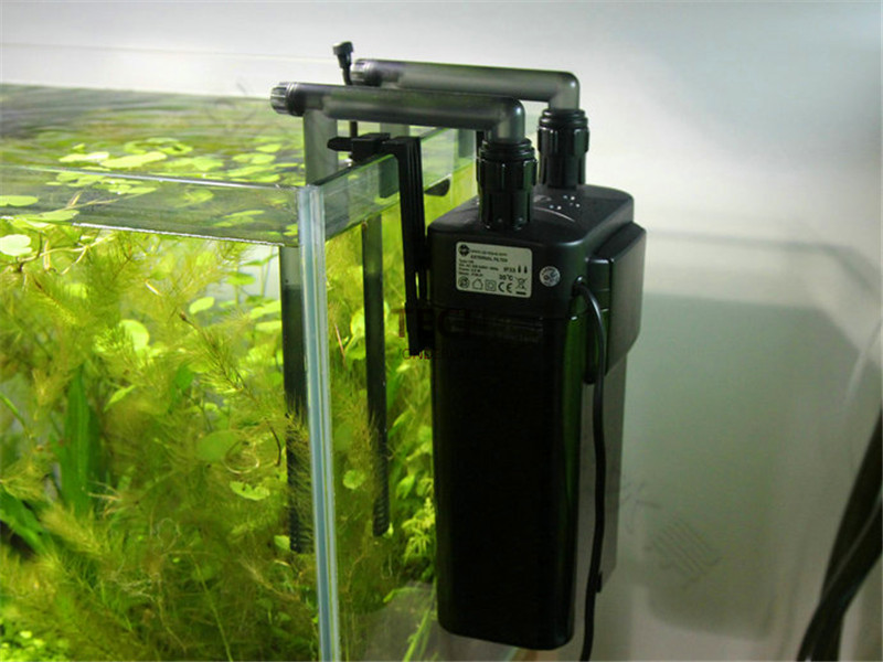 canister-filter-aquarium