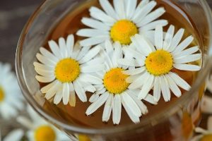 Is Chamomile Tea Safe For Babies?