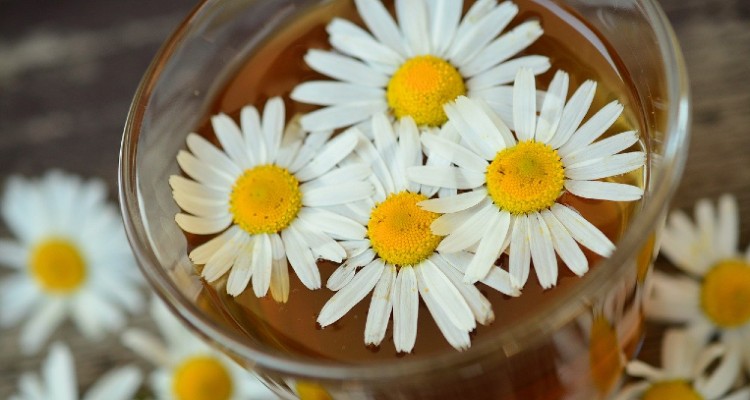 Is Chamomile Tea Safe For Babies?