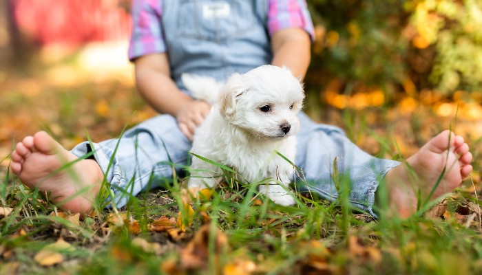 How Pets Influence Children