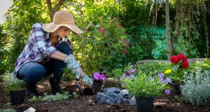 Starting A Garden? Use These 6 Permaculture Techniques