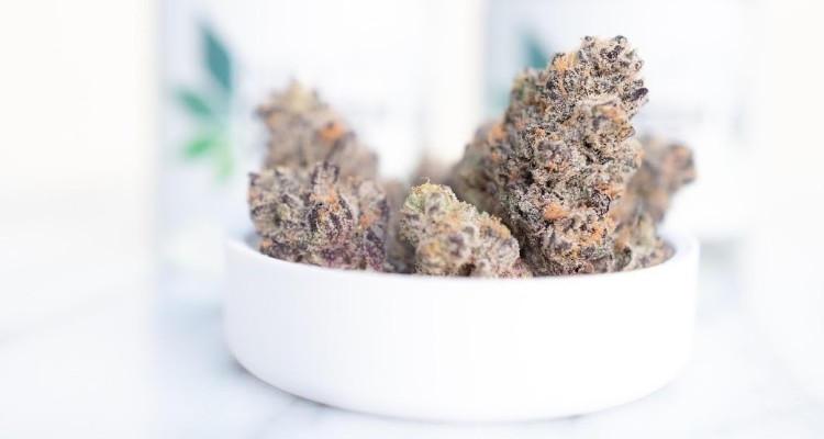 Why Use a High CBD Flower Strain