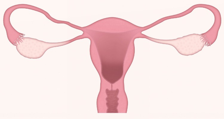 What You Need To Know About Urinary Tract Infection As A Woman And How To Prevent It