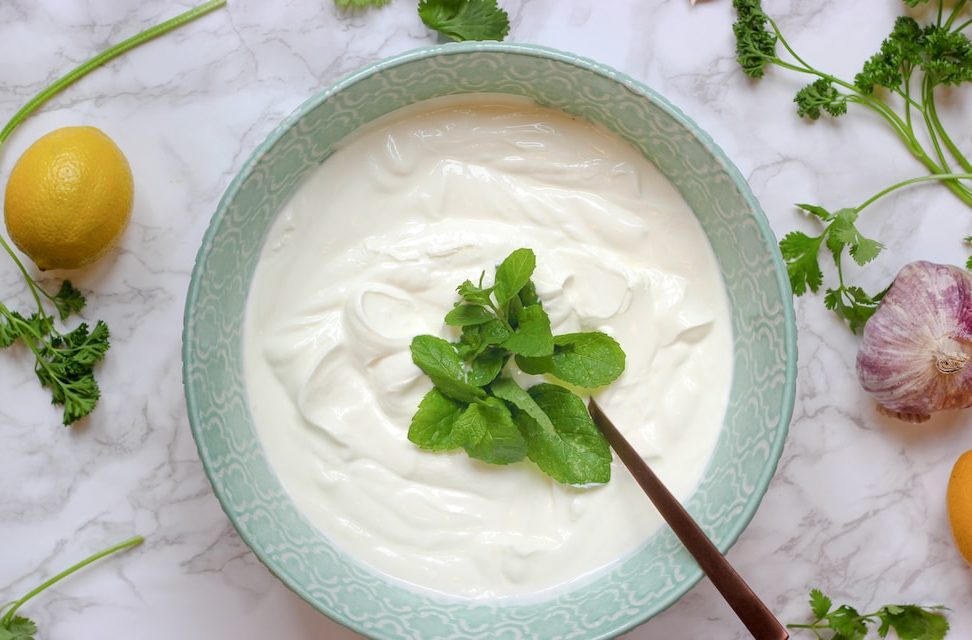 Benefits of adding Greek Yogurt in your Daily Routine