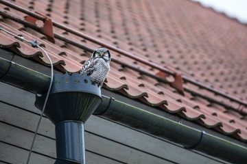 Rain gutters directing water, safeguarding building with efficient drainage system.