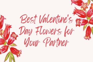 Tips for selecting the perfect Valentine's Day flowers for your partner.